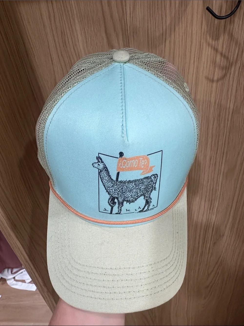 Aqua & Tan Trucker Hat with Llama Graphic